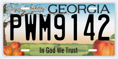 GA license plate PWM9142