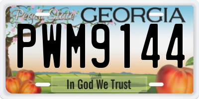 GA license plate PWM9144