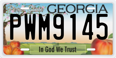 GA license plate PWM9145