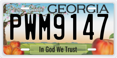 GA license plate PWM9147