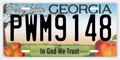 GA license plate PWM9148