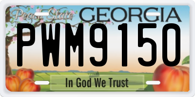 GA license plate PWM9150