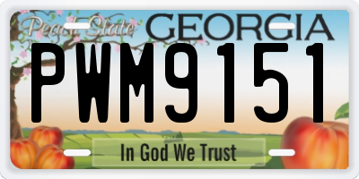 GA license plate PWM9151