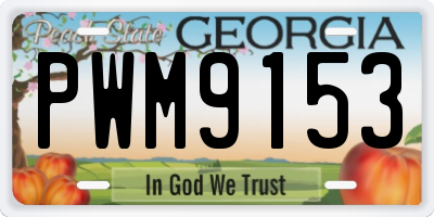 GA license plate PWM9153