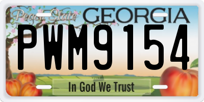 GA license plate PWM9154