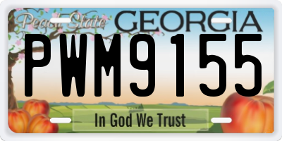 GA license plate PWM9155
