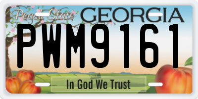 GA license plate PWM9161
