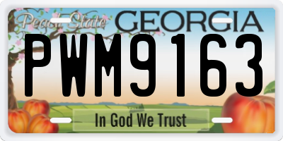 GA license plate PWM9163