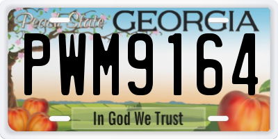 GA license plate PWM9164