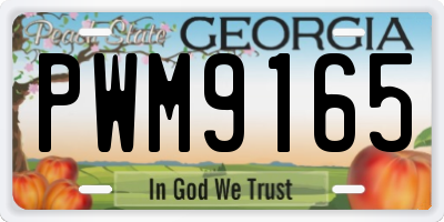 GA license plate PWM9165