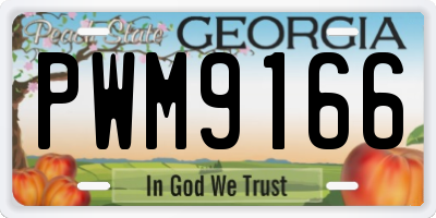 GA license plate PWM9166