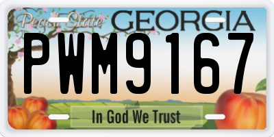 GA license plate PWM9167