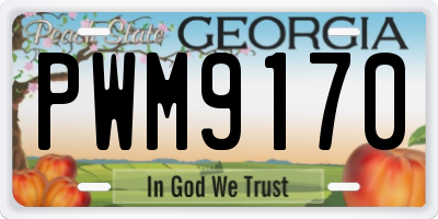 GA license plate PWM9170