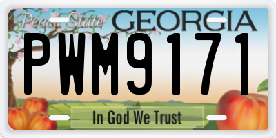 GA license plate PWM9171