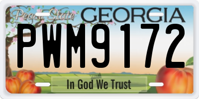GA license plate PWM9172