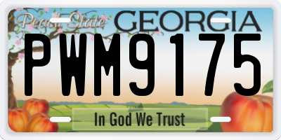 GA license plate PWM9175