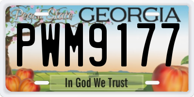 GA license plate PWM9177