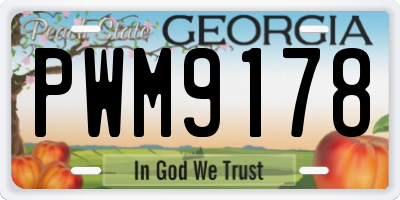 GA license plate PWM9178