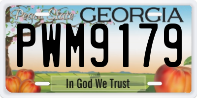 GA license plate PWM9179