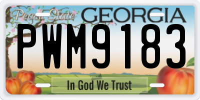GA license plate PWM9183