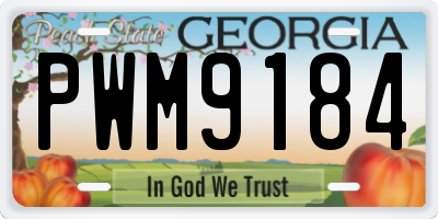 GA license plate PWM9184
