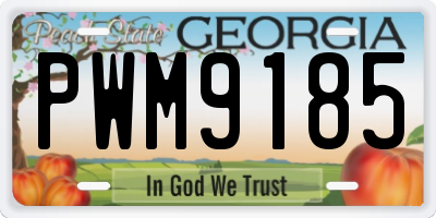 GA license plate PWM9185