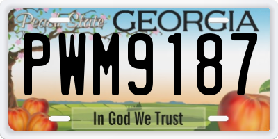 GA license plate PWM9187