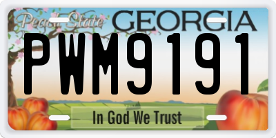 GA license plate PWM9191