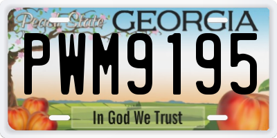 GA license plate PWM9195