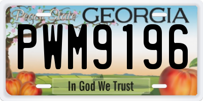 GA license plate PWM9196
