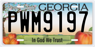 GA license plate PWM9197