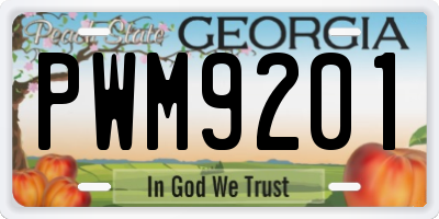 GA license plate PWM9201