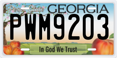 GA license plate PWM9203