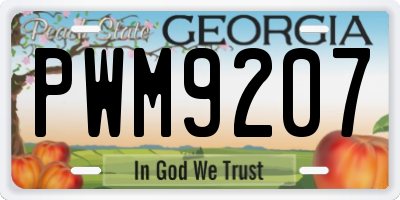 GA license plate PWM9207