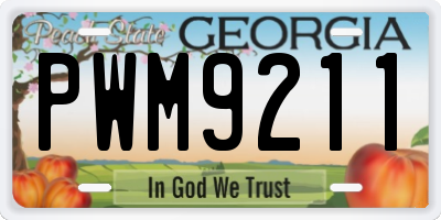 GA license plate PWM9211