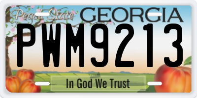 GA license plate PWM9213