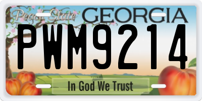 GA license plate PWM9214