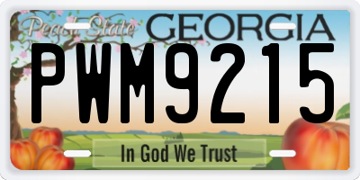GA license plate PWM9215