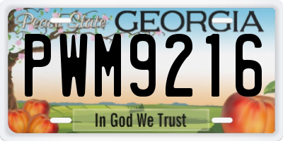 GA license plate PWM9216