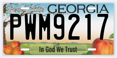 GA license plate PWM9217