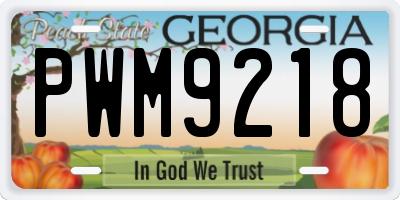 GA license plate PWM9218