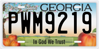 GA license plate PWM9219
