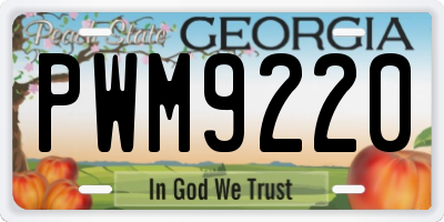 GA license plate PWM9220