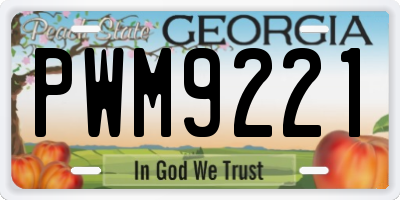 GA license plate PWM9221