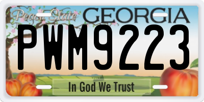 GA license plate PWM9223
