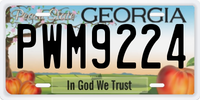 GA license plate PWM9224