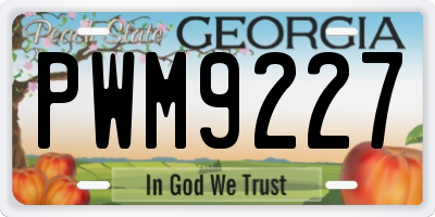 GA license plate PWM9227