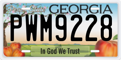 GA license plate PWM9228