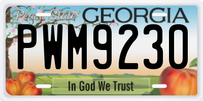 GA license plate PWM9230