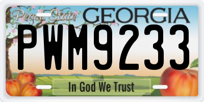 GA license plate PWM9233